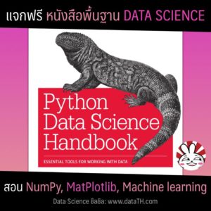 data science python handbook free