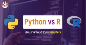 r vs python data science