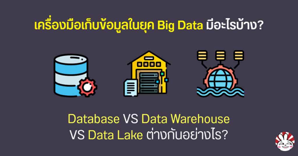 Big Data เก็บที่ไหน? Data Lake vs Data Warehouse vs Database