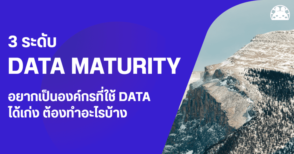 data maturity 3 levels