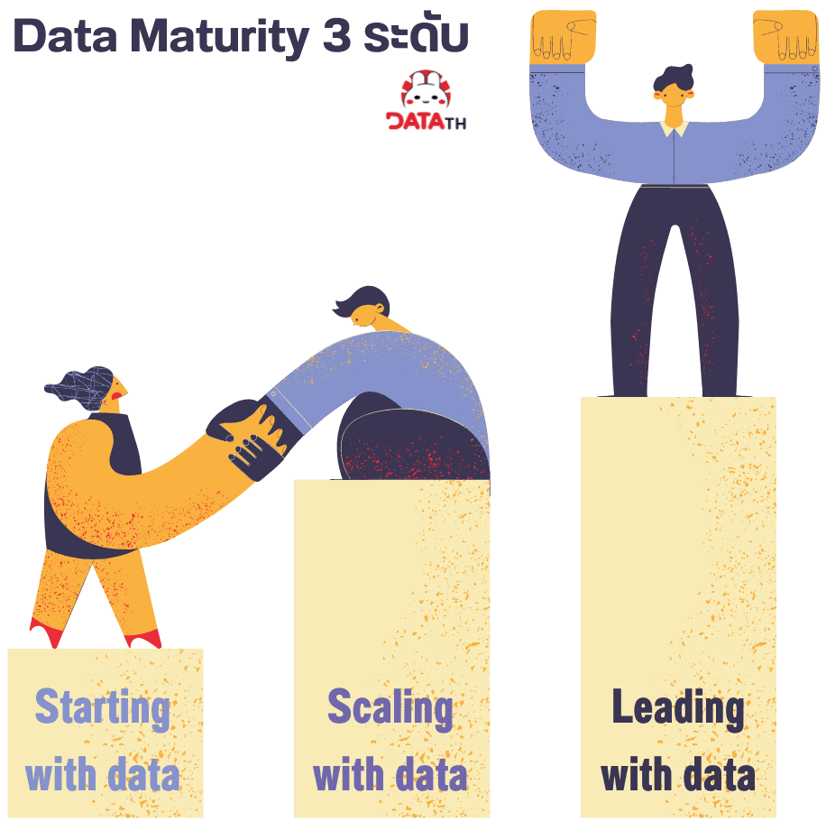 data maturity diagram