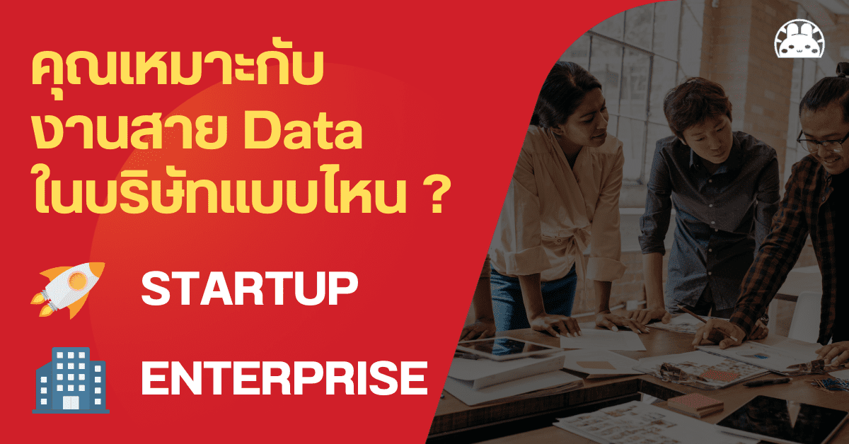 startup enterprise data science job